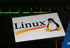 2022년 쉬키테가(Shikitega), 스위스 아미 나이프(Swiss Army Knife)와 같은 새로운 리눅스(Linux) 악성코드가 등장하고, 리눅스 시스템을 대상으로 한 랜섬웨어 공격은 75%나 증가했다. 이 중 일부는 백신 및 안티바...