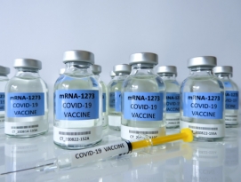 코로나19 정복의 서막? 새로운 백신의 개발 by 파시스트